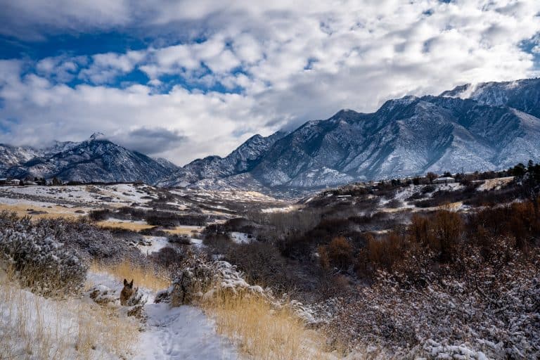 Salt-Lake-City-Hike-Dog elope with your dog