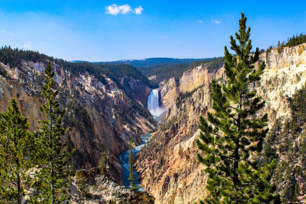 yellowstone-national-park-montana-elopement-waterfall-grand-canyon-of-yellowstone-view