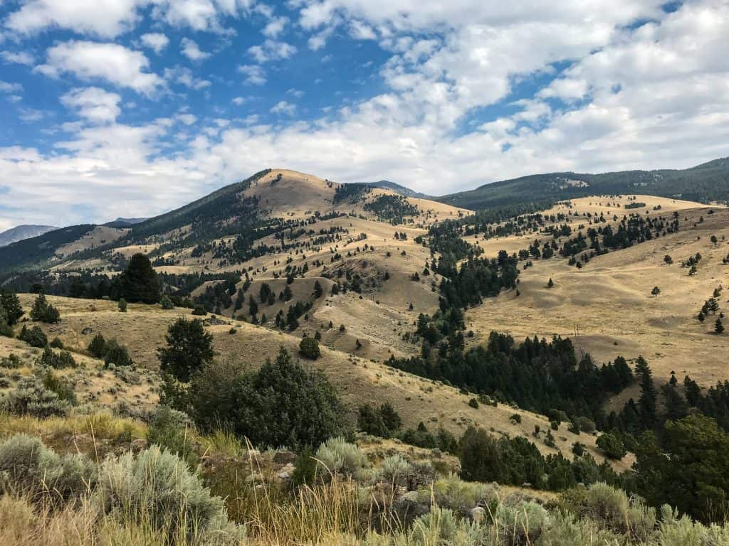 yellowstone-national-park-montana-elopement-rolling-hills Alex's Earth Friendly Practices