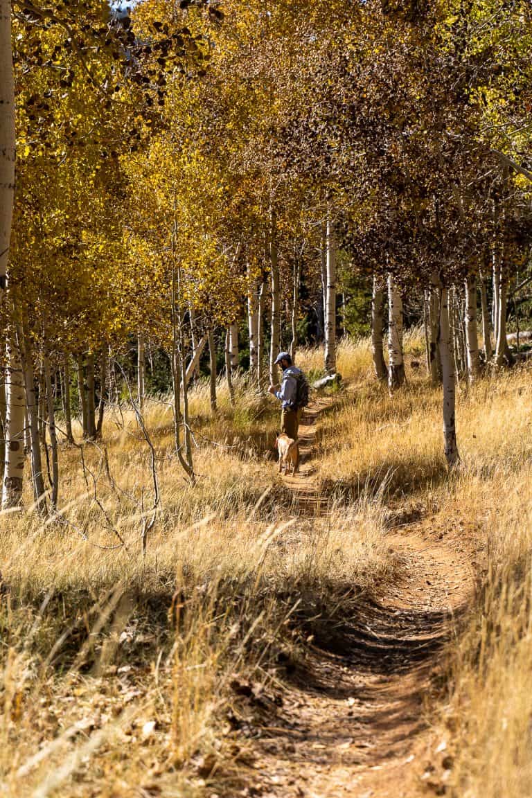 dixie-national-forest-utah-fishing-hiking elope with your dog