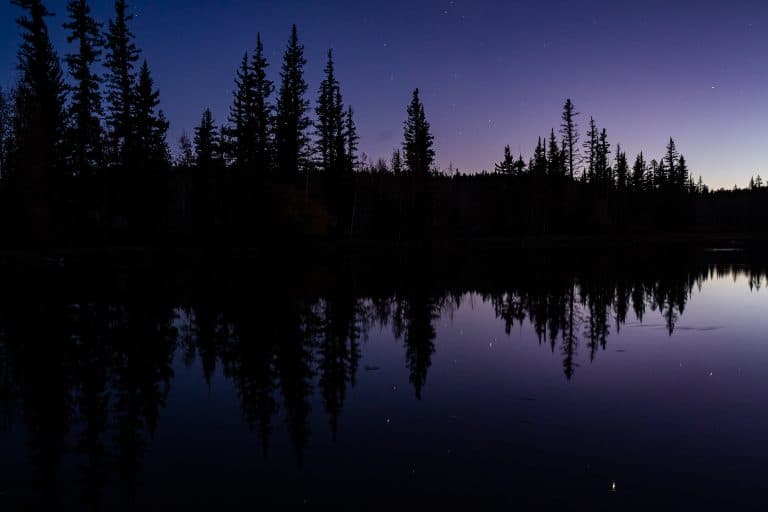 dixie-national-forest-utah-fishing-hiking Elopement photos with the stars