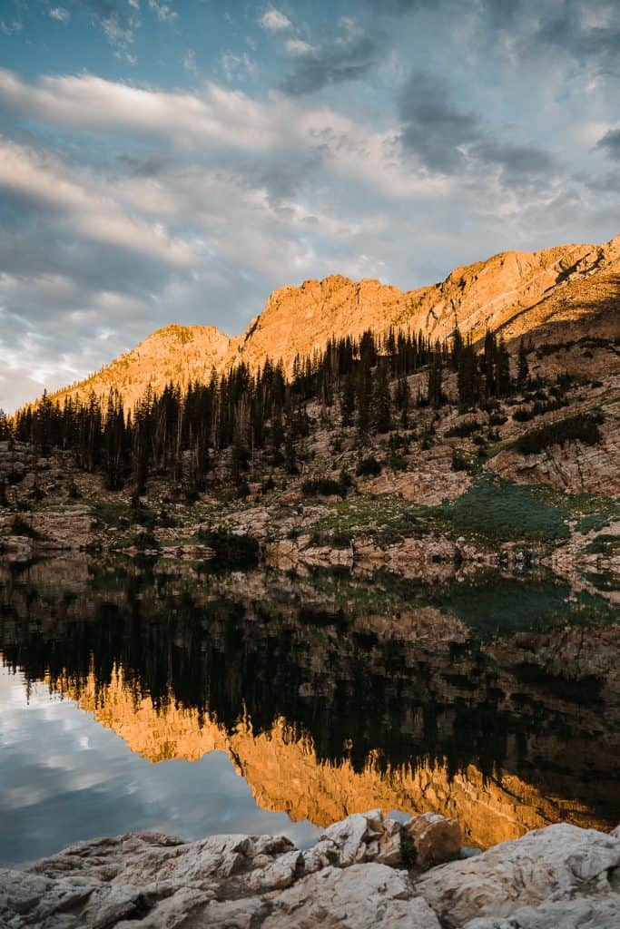 wildflowers-cecret-lake-adventure-elopement-utah