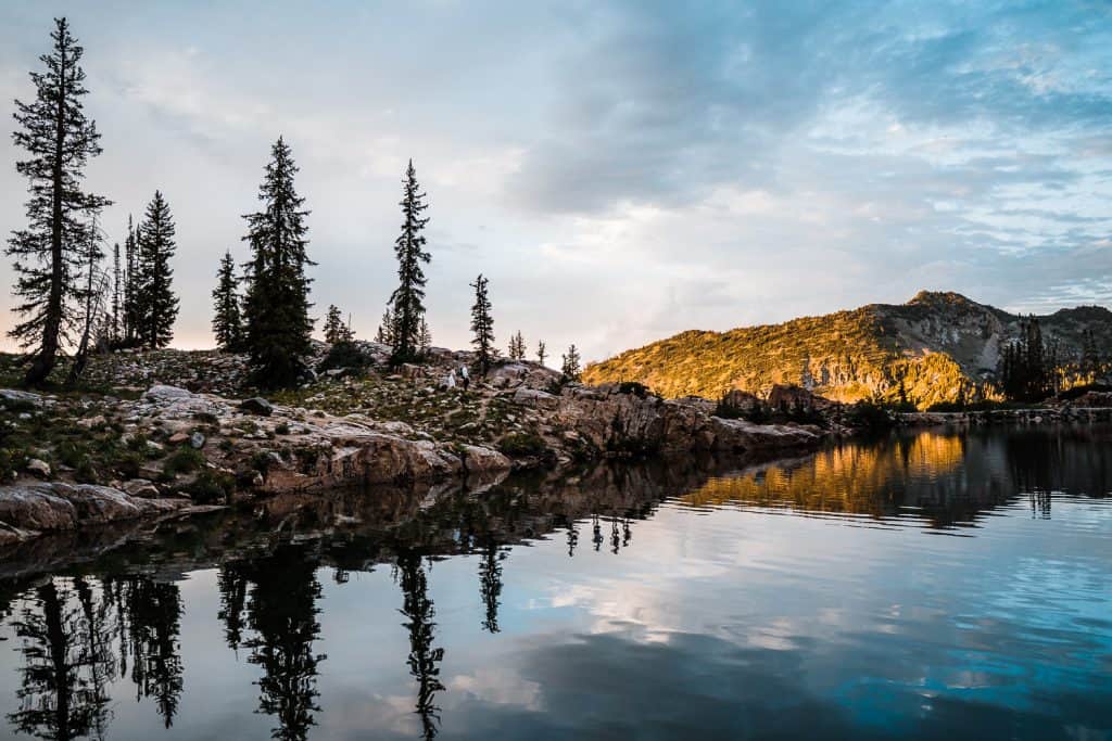 wildflowers-cecret-lake-adventure-elopement-utah