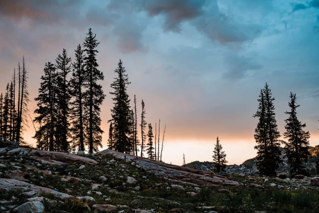 wildflowers-cecret-lake-adventure-elopement-utah