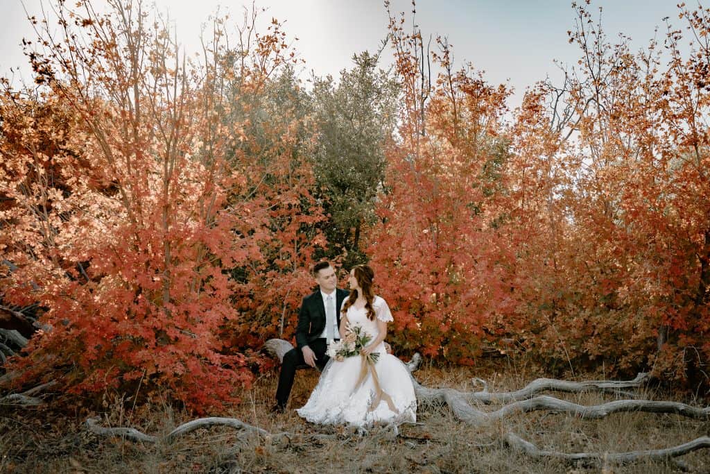 kolob-canyon-zion-utah-elopement