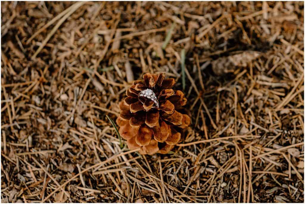 Bryce Canyon Elopement details shot