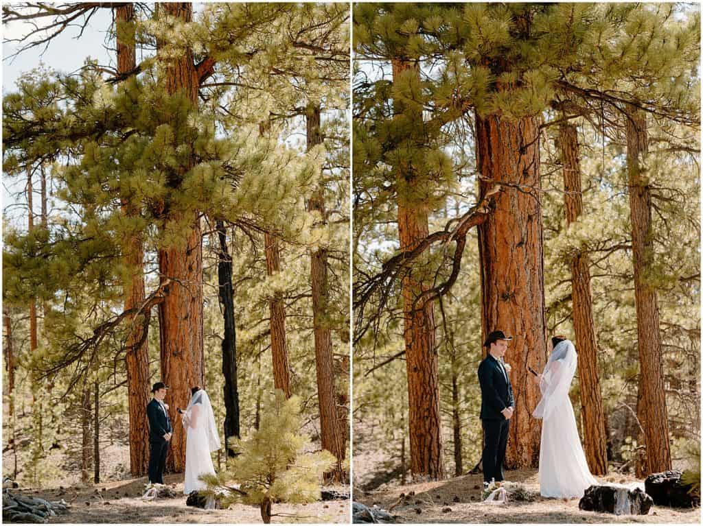 Bryce Canyon Elopement in the fairylands trail