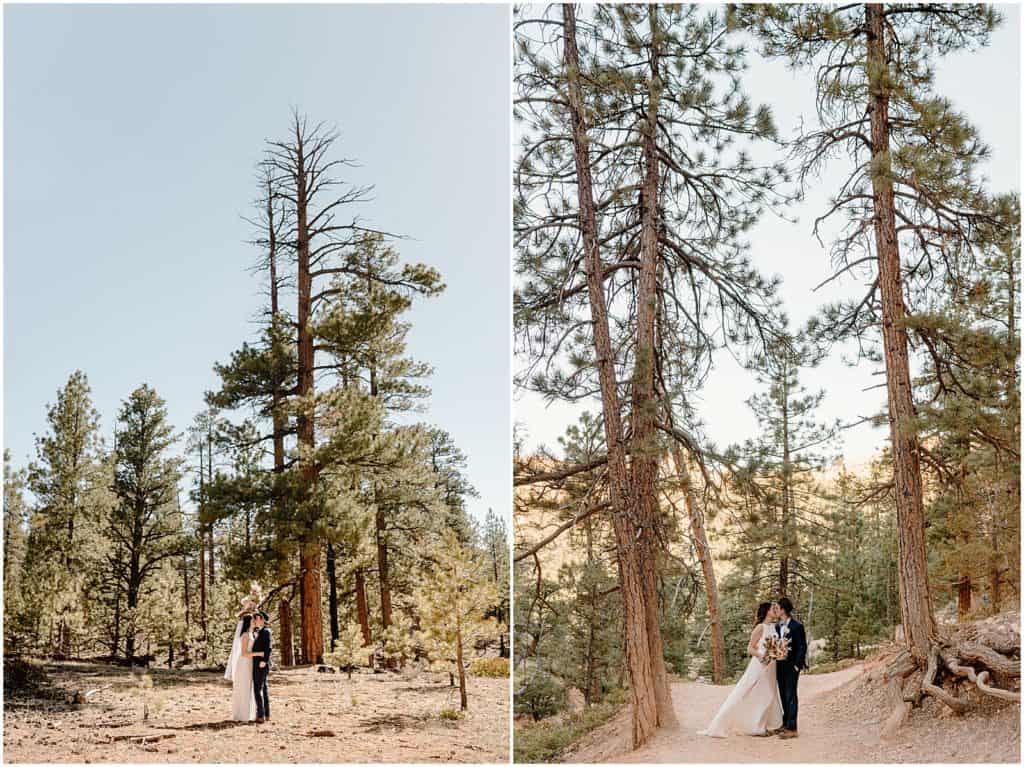 Bryce Canyon Elopement in the fairylands trail