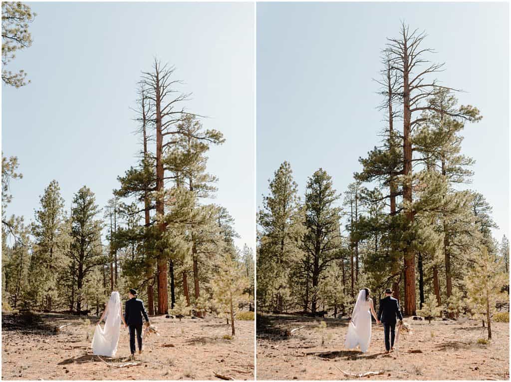 Bryce Canyon Elopement in the fairylands trail