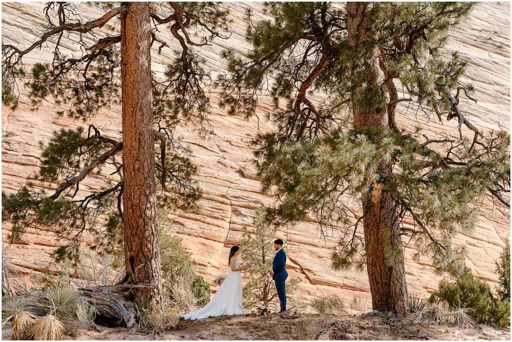 Zion Elopement