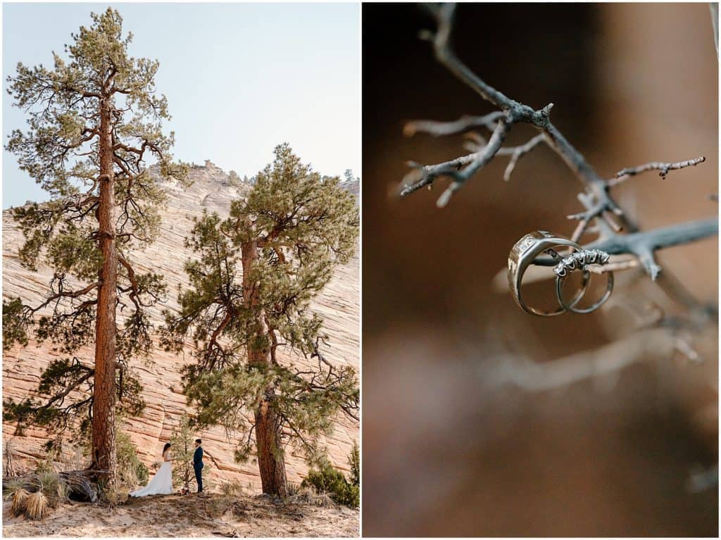 Zion Elopement rings in tree branches