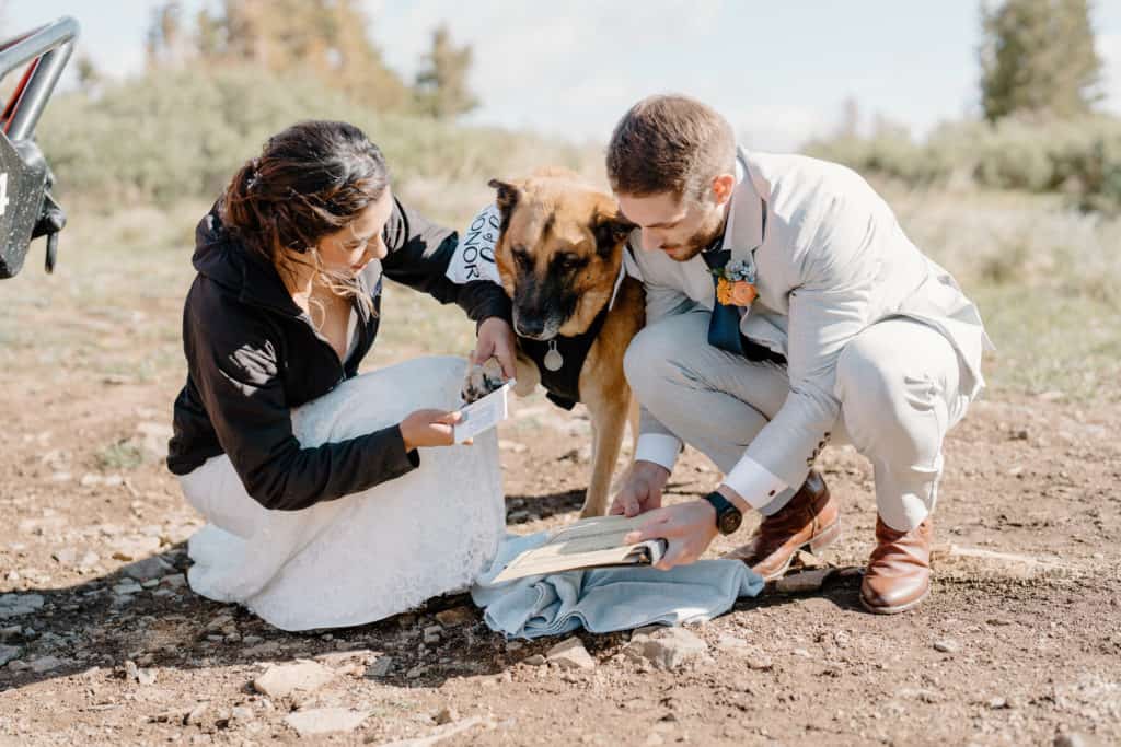 A married couple's dog, Loki, signs their marriage license during their Colorado elopement ceremony. 