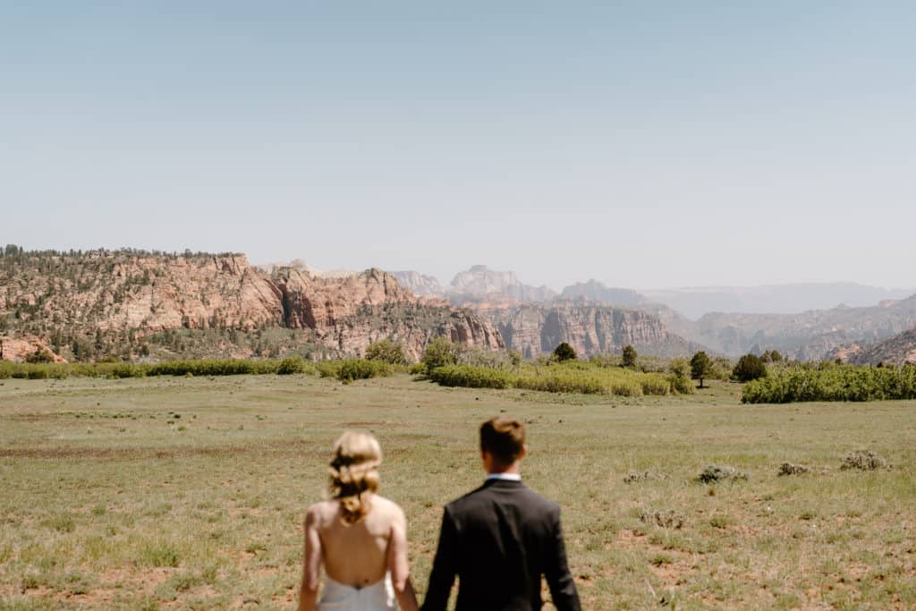 A bride and groom look out across Zion National Park during their southern Utah elopement. 